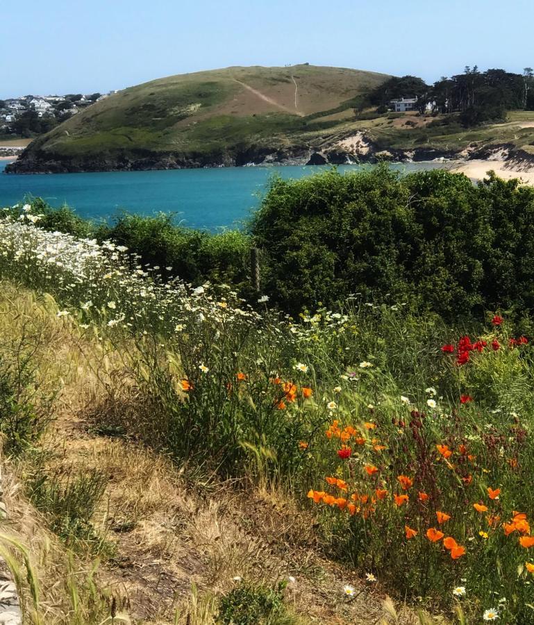 Brookdale House Villa Wadebridge Luaran gambar